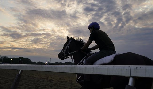 Horses begin their morning training runs at dawn ahead of the Belmont Stakes horse race, Friday, June 9, 2023, at Belmont Park in Elmont, N.Y. (AP Photo/John Minchillo)