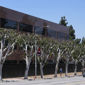 Trees are seen outside Universal Studios on Wednesday, July 19, 2023, in Burbank, Calif. The actors strike comes more than two months after screenwriters began striking in their bid to get better pay and working conditions. (AP Photo/Chris Pizzello)
