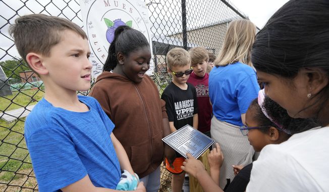 Mannsdale Upper Elementary School fourth-grade students examine a plaque commemorating the school&#x27;s Project Blueberry, installed among freshly-planted blueberry bushes, Friday, April 21, 2023, in Madison, Miss. The students lobbied to have the blueberry designated as Mississippi&#x27;s official state fruit in a new law that takes effect Saturday, July 1, 2023. (AP Photo/Rogelio V. Solis, File)