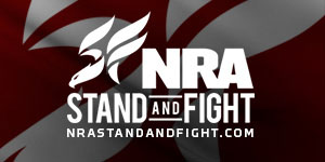 NRA: Stand and Fight