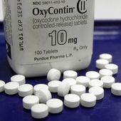 OxyContin pills are arranged for a photo at a pharmacy in Montpelier, Vt., Feb. 19, 2013. (AP Photo/Toby Talbot, File)